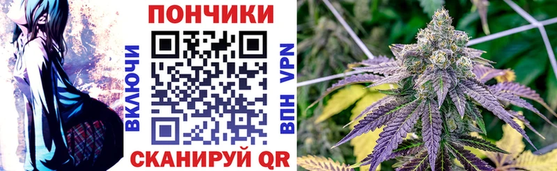 Продажа наркотиков Курган ссылка на мегу ссылки  БУТИРАТ  ГАШИШ  Канабис  МЕФ  A-PVP  Кокаин 