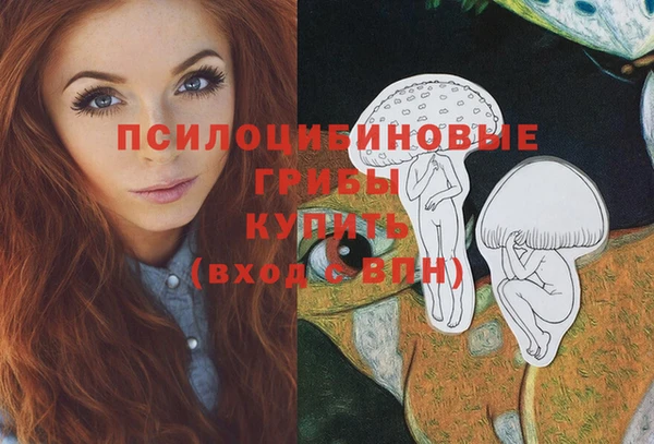 амф Зеленокумск
