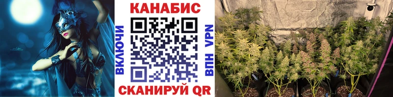 кракен как зайти  цены наркотик  Курган  Канабис Ganja 